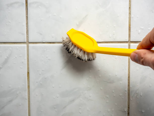 Best Professional Mold Removal  in Concord, MO