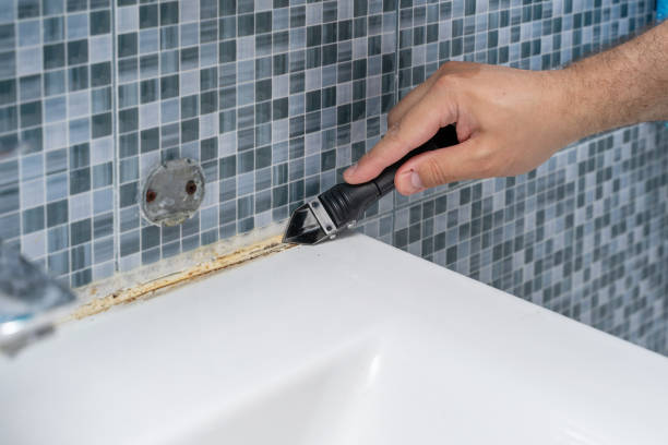 Best Mold Damage Repair  in Concord, MO