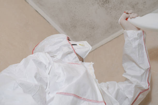 Water Damage Restoration in Concord, MO